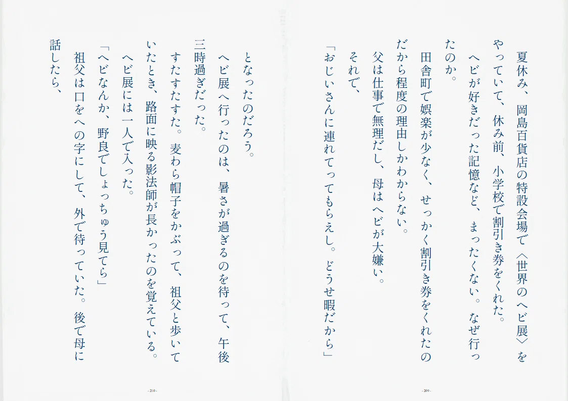 画像14