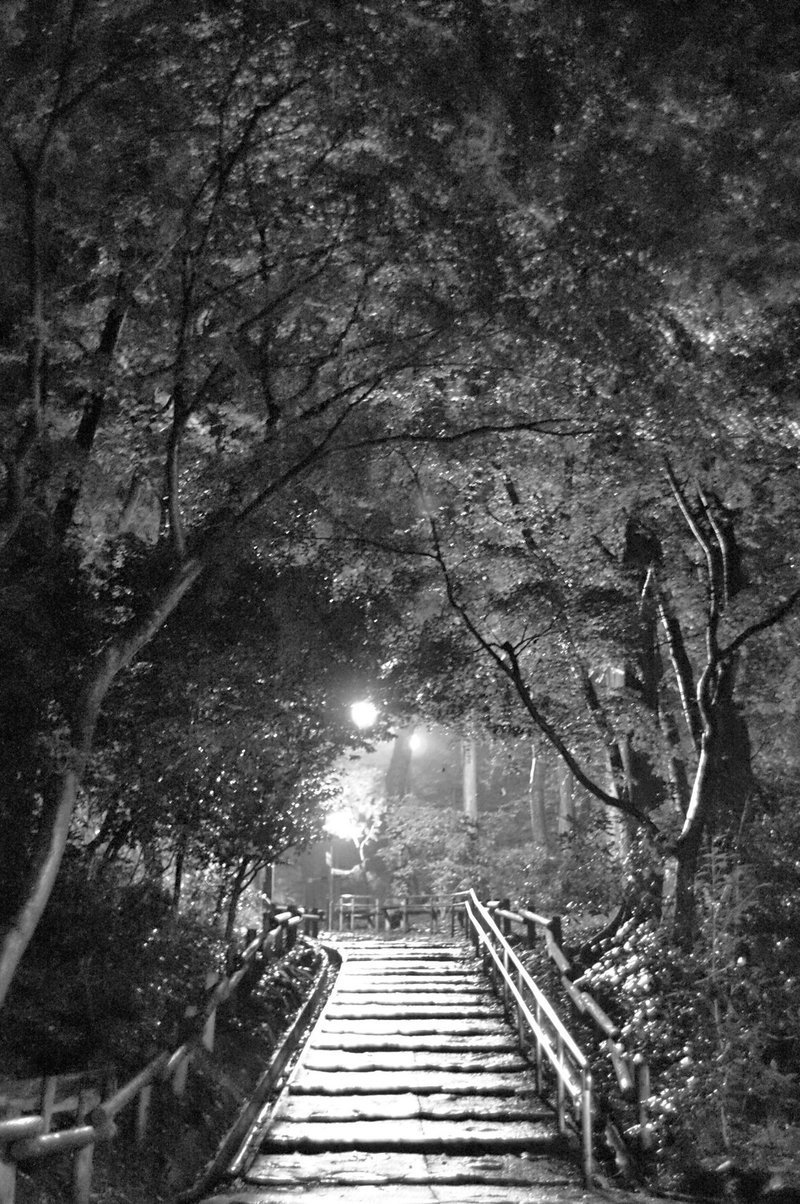 ナイトモノクロスナップ 公園から街へ編 まずはリッチトーンモノクロ 次にisoに設定して Black And White Non Note ナイトモノクロスナップ 公園から街へ編 まずはリッチトーンモノクロ 次にisoに設定して Black And White Non Note
