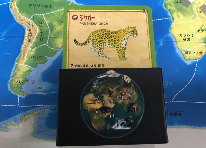 ボードゲーム ファウナ をやったよ 城之内あやめ Note