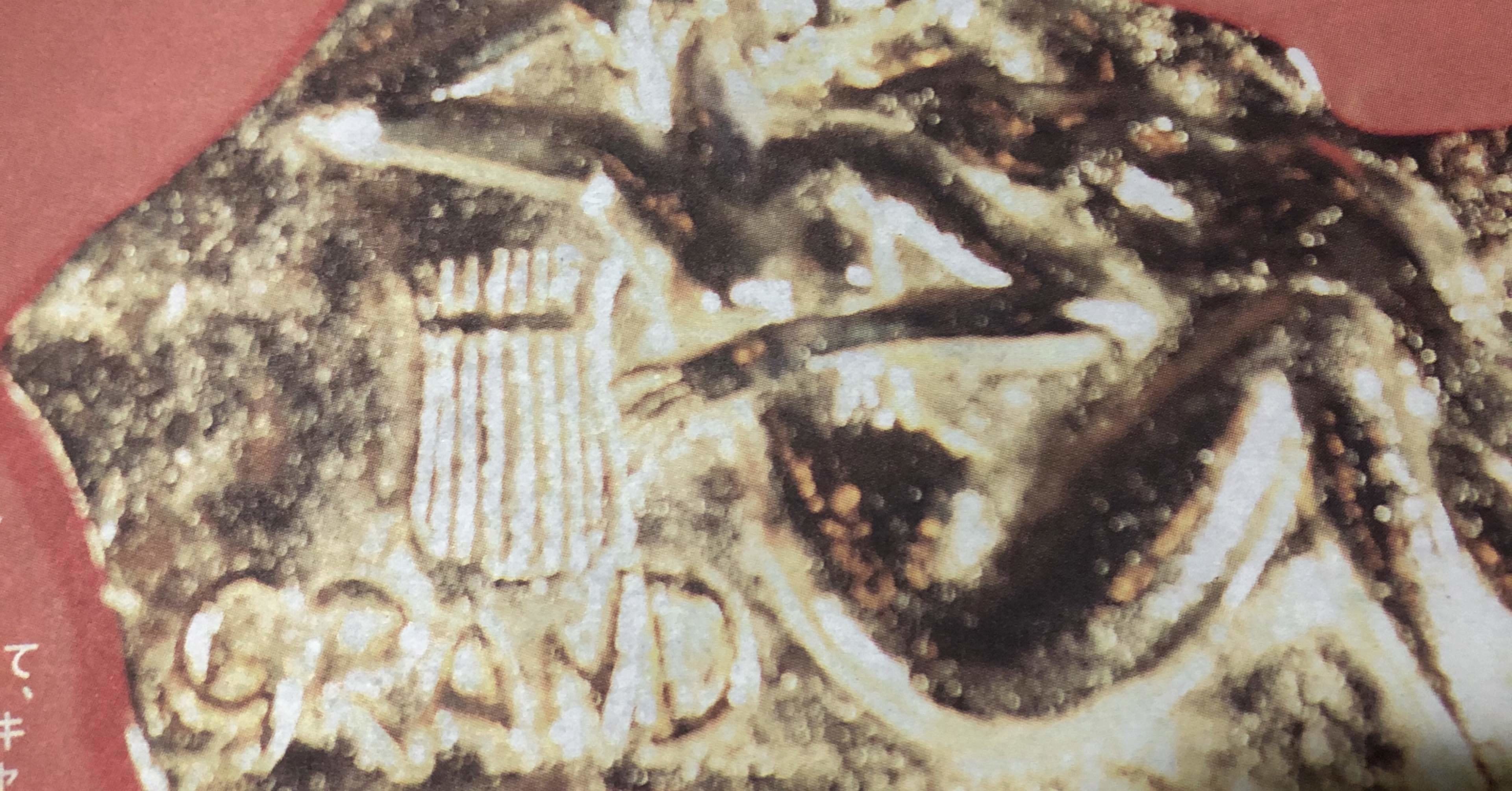 インフルエンサーの背中 17年のインフルエンサー 最終章 ちっちゃな頃から潤ちゃん Note