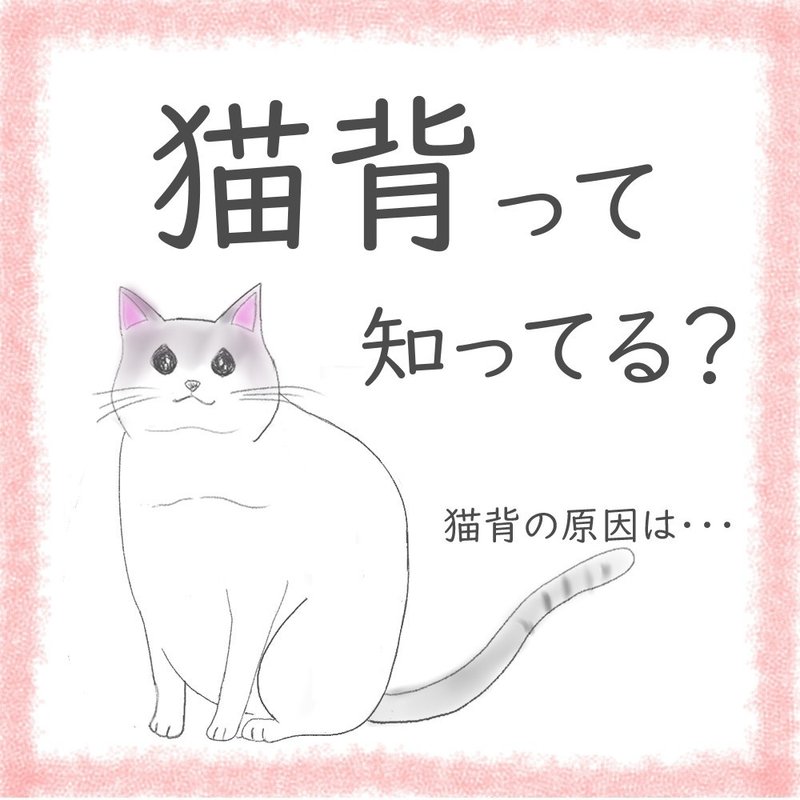 猫背をゆる く知ろう 1普段の生活編 いろどりあつめ Note