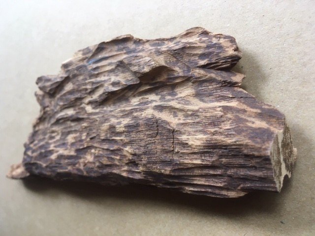 11月の推奨香木は「やや曲（くせ）がある真那賀」｜山田眞裕（麻布 香