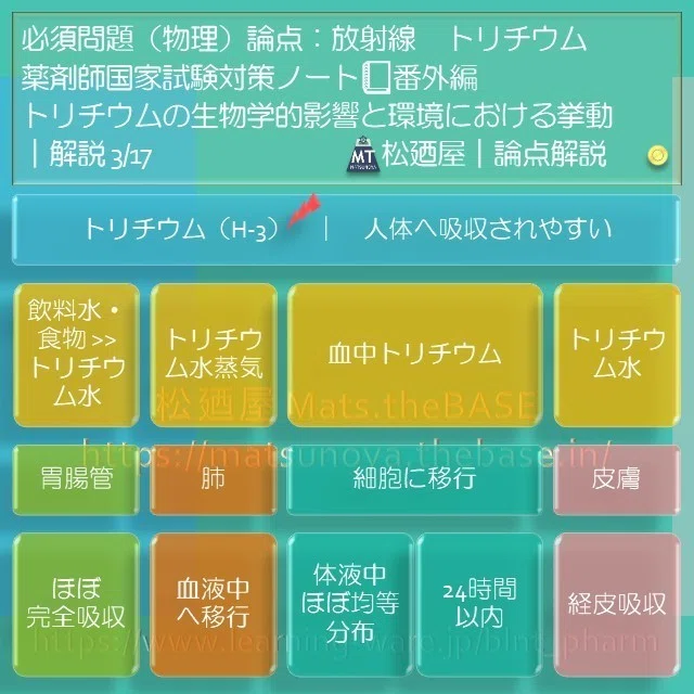スライド5
