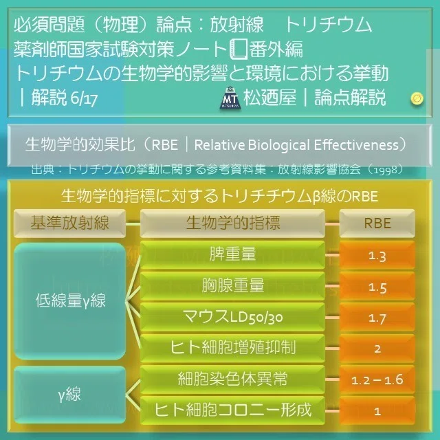 スライド8