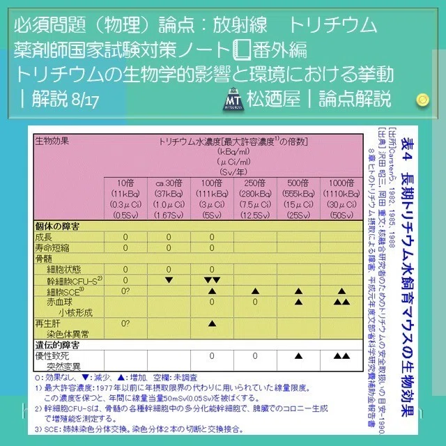 スライド10