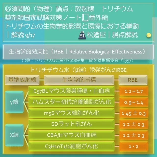 スライド11