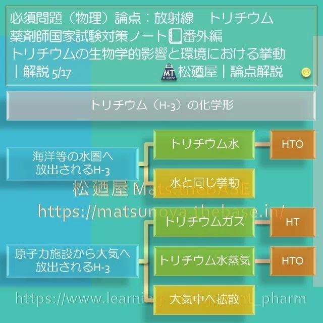 スライド7