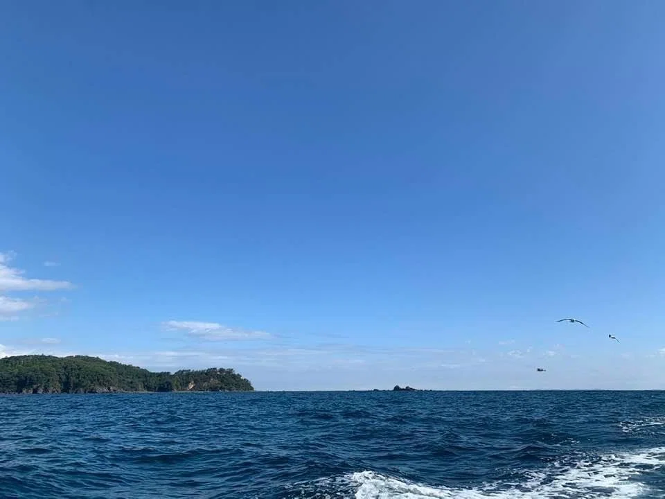 画像15