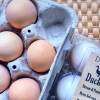 恨む 日本の英語教育 英語を使う現場からの切なる願い ソラノアオ ドイツで働くインダストリアルデザイナー Note