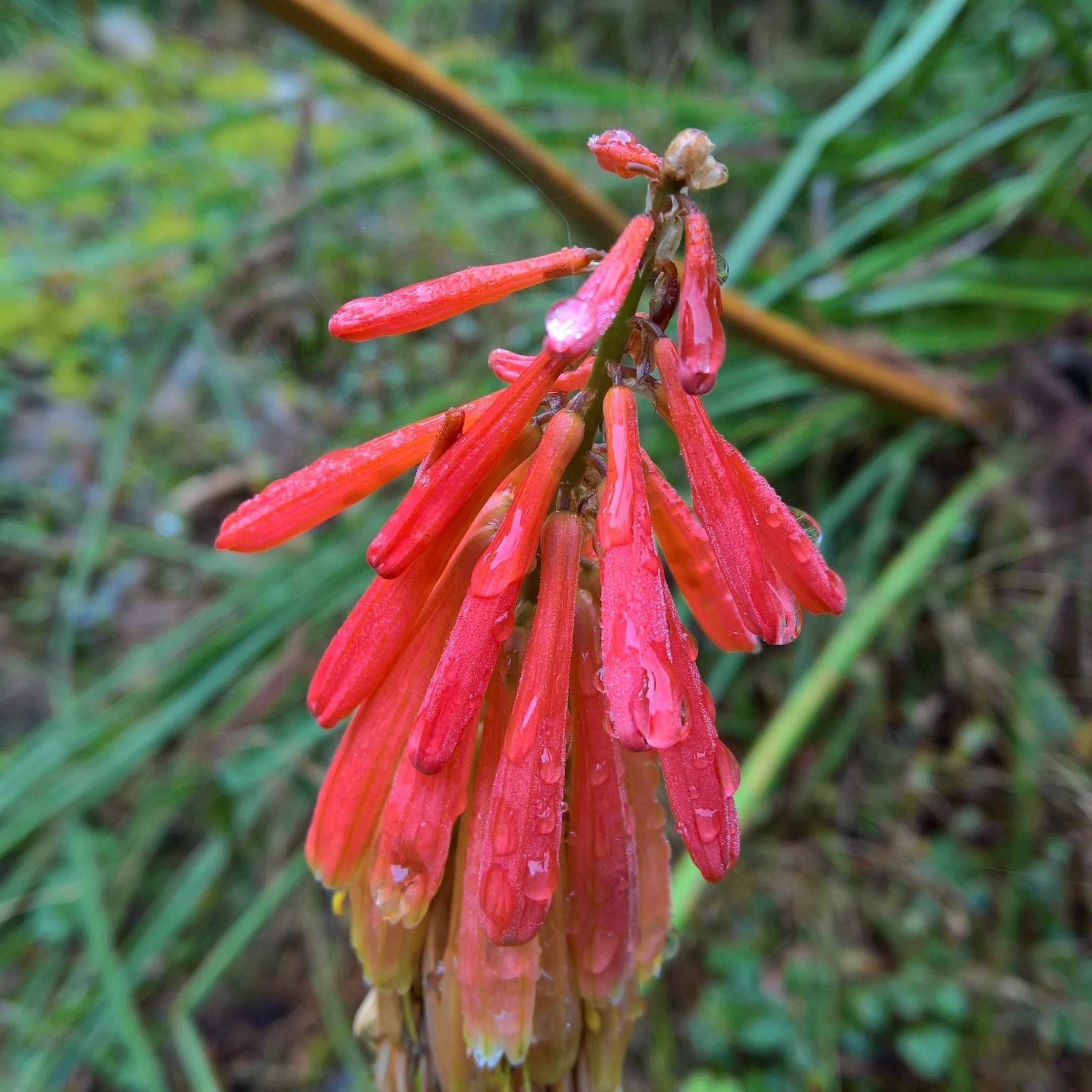 profile_f77bad4c1d3baa3b54401c