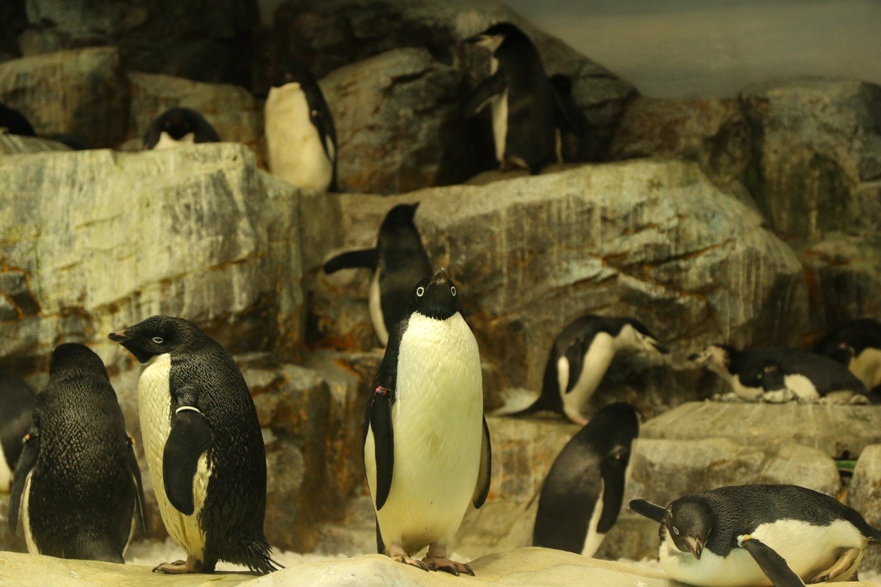 久しぶりに水族館 眼鏡屋 Note 久しぶりに水族館 眼鏡屋 Note