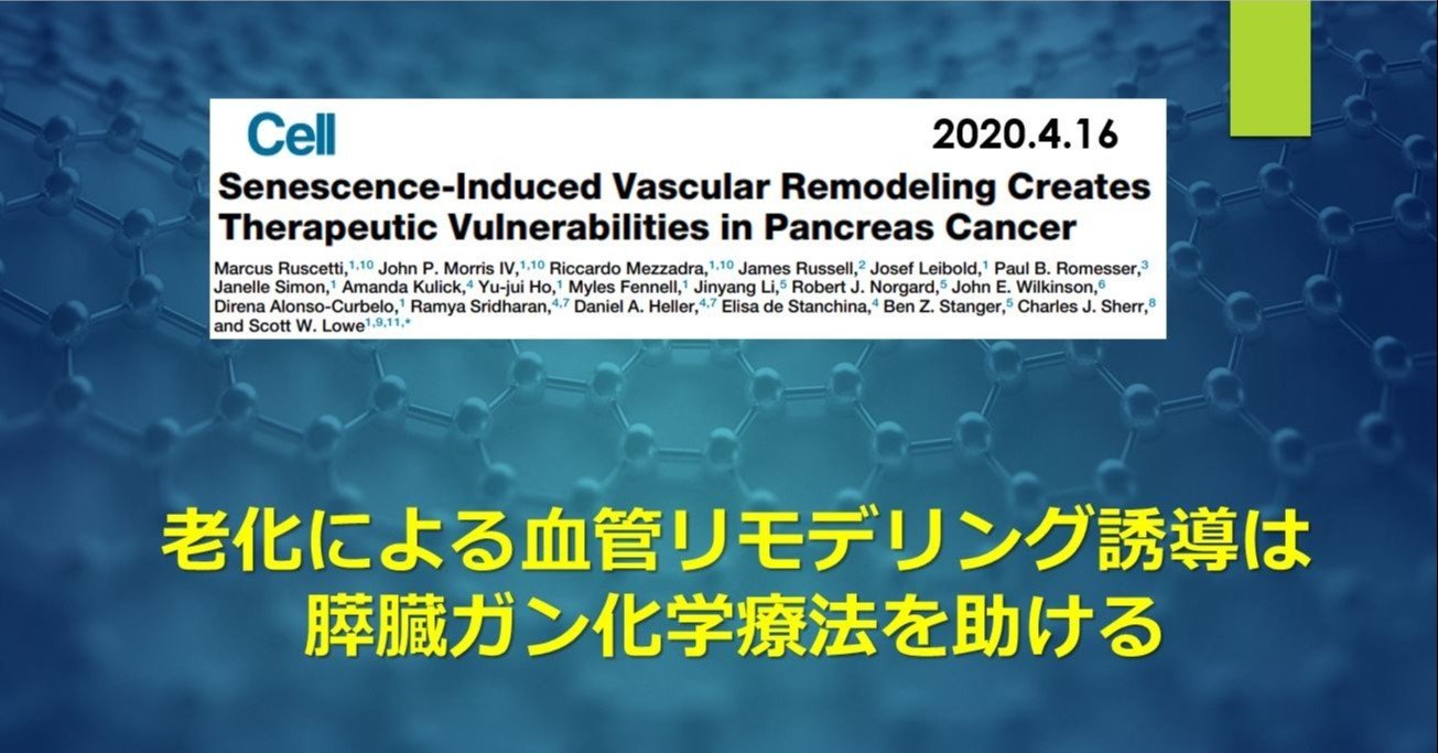 ガン細胞老化による血管リモデリングは膵臓ガン化学療法を助ける けむ 毎日論文紹介 22 00 Note