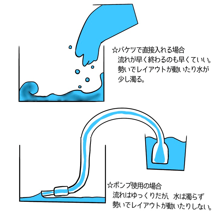 サワガニ飼育日記 しょうゆ Note