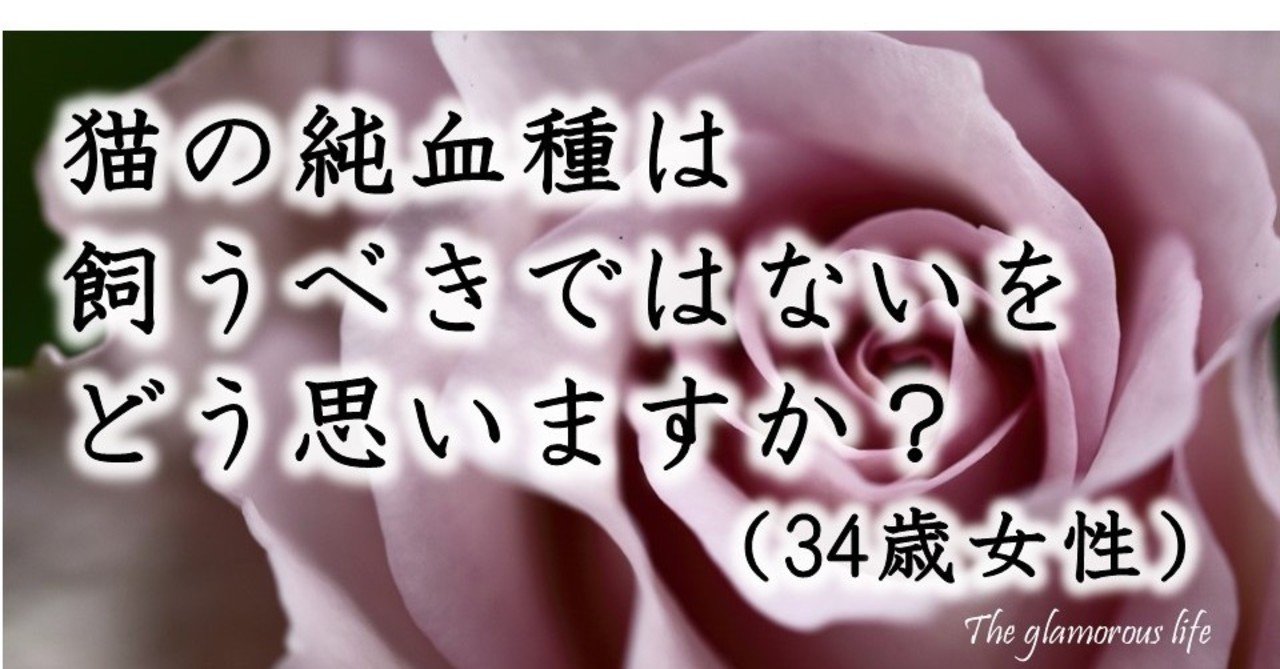 猫の純血種は飼うべきではないを どう思いますか 34歳女性 グラマラス ライフ By リンダ Note 猫の純血種は飼うべきではないを どう思いますか 34歳女性 グラマラス ライフ By リンダ Note