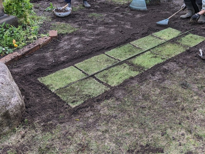 姫高麗芝を庭全面に Kaze Note