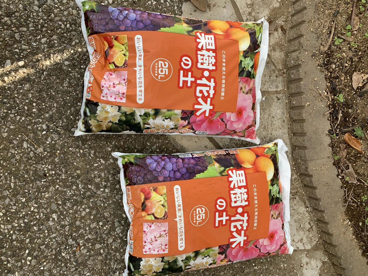 桃の植え付け再チャレンジ Yossy Note