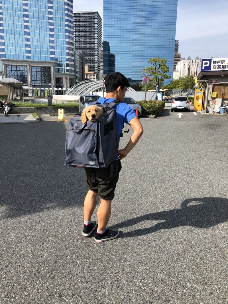 犬との日々 中村 篤史 ナカムラクリニック Note