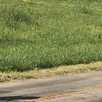 About 福田昌弘 Masahiro Fukuda Note