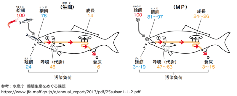 養殖魚のエサってどんな味 色んな種類を食べてみた ウミトロンメディア Note 養殖魚のエサってどんな味 色んな種類を食べてみた ウミトロンメディア Note