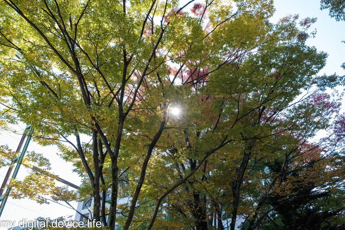 画像4