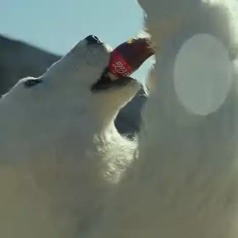 今野明広