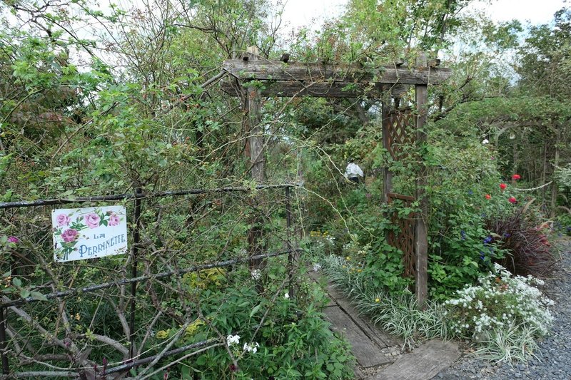 毛呂山町の紹介 ガーデンカフェグリーンローズ 夢ねずみ Note