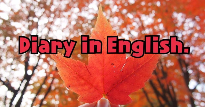 【国際カップル】英語学習！「Diary in English⑥」Title:Taking pictures.