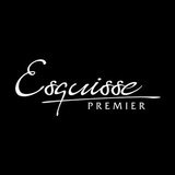 esquisse premier