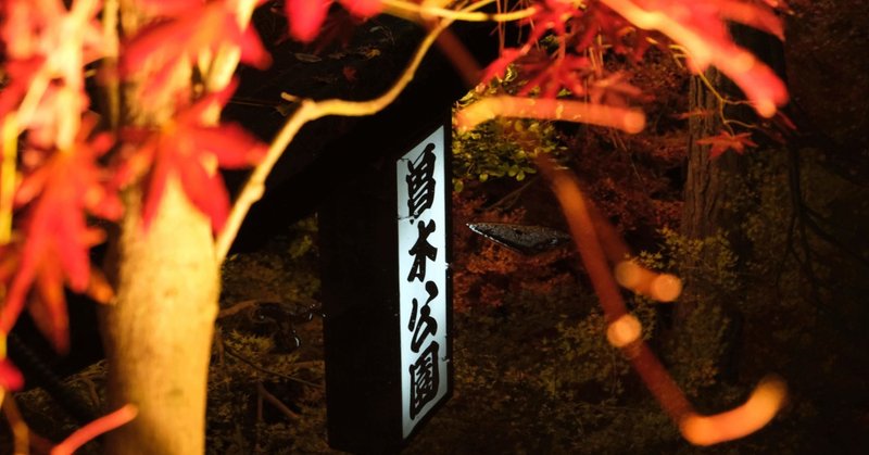 逆さ紅葉の名所：土岐・曽木公園のライトアップは2020年は中止です