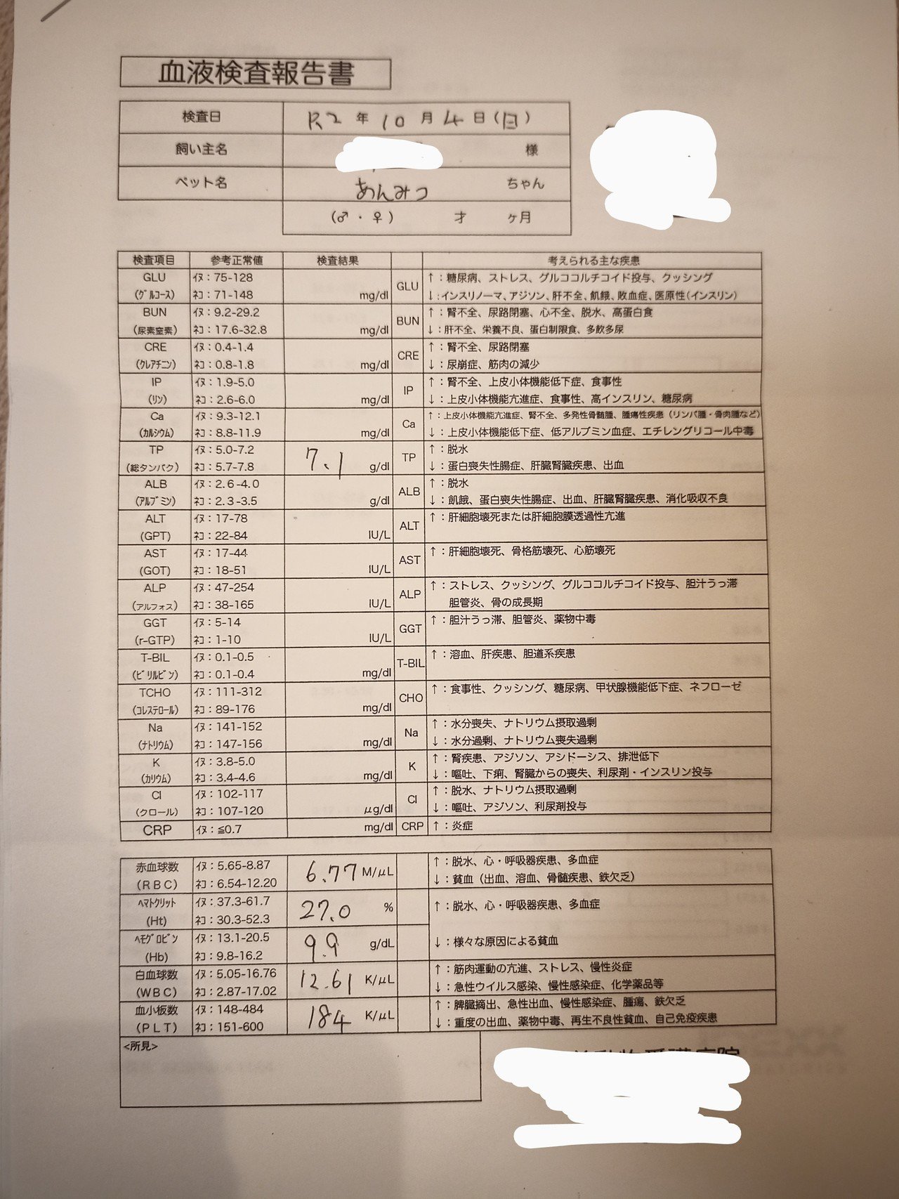 Fip治療記 10 4 5 さらなる悪化と腹水除去 Fip闘病中 あんみっちゃん Note