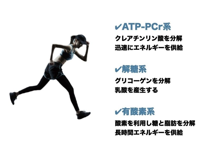 トレーニングに必要な生理学 全身持久力の推定 平 純一朗 Pt Jspo At Note