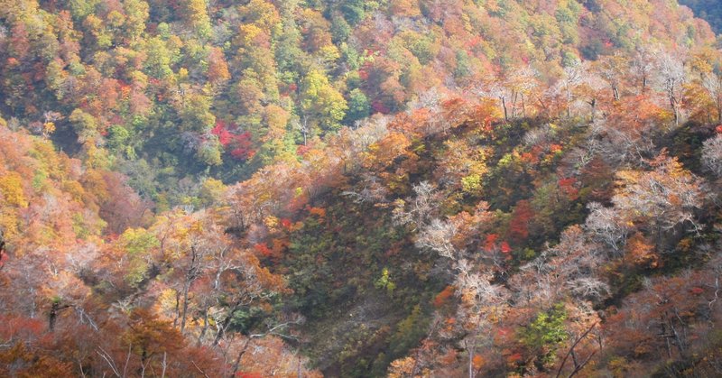 健康の森に行ってきた 大山ゲストハウス寿庵 Note
