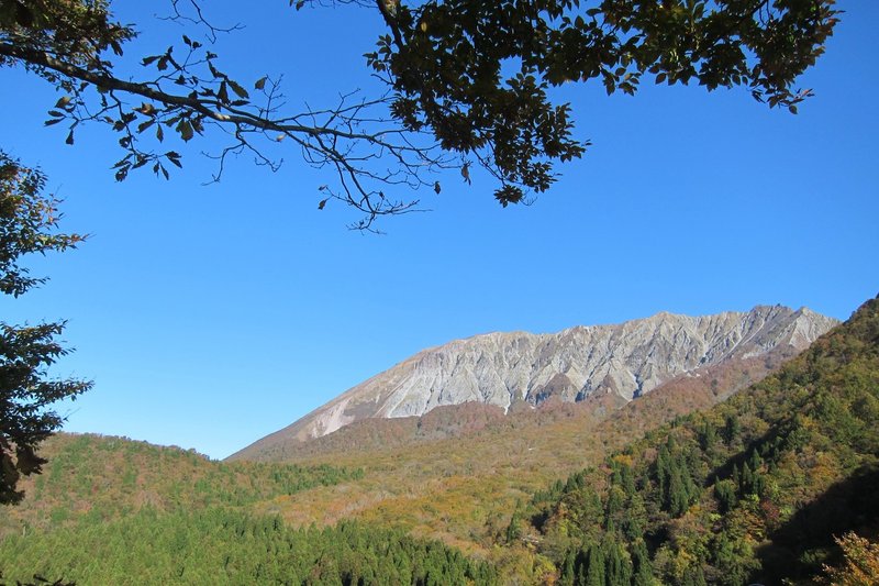 健康の森に行ってきた 大山ゲストハウス寿庵 Note 健康の森に行ってきた 大山ゲストハウス寿庵 Note