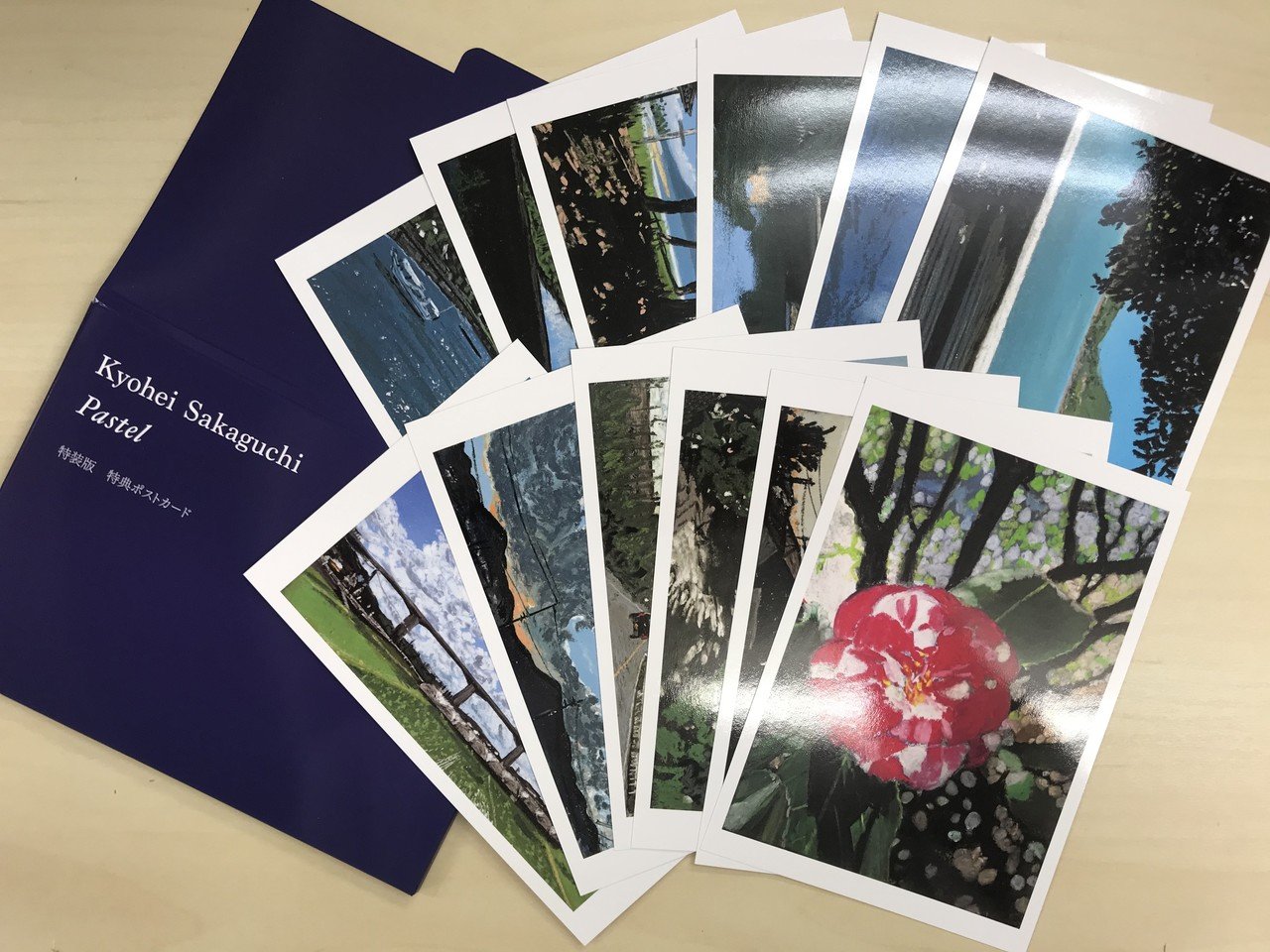 坂口恭平画集『Pastel』特装版＆通常版お取り扱い書店様のご案内｜左右社