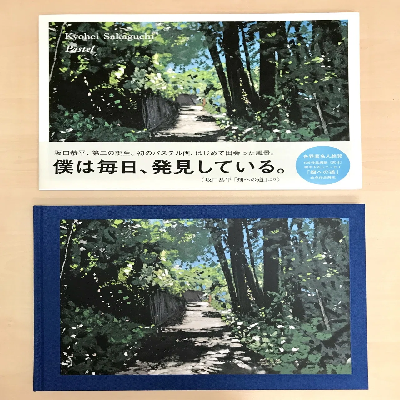 坂口恭平画集『Pastel』特装版＆通常版お取り扱い書店様のご案内｜左右社