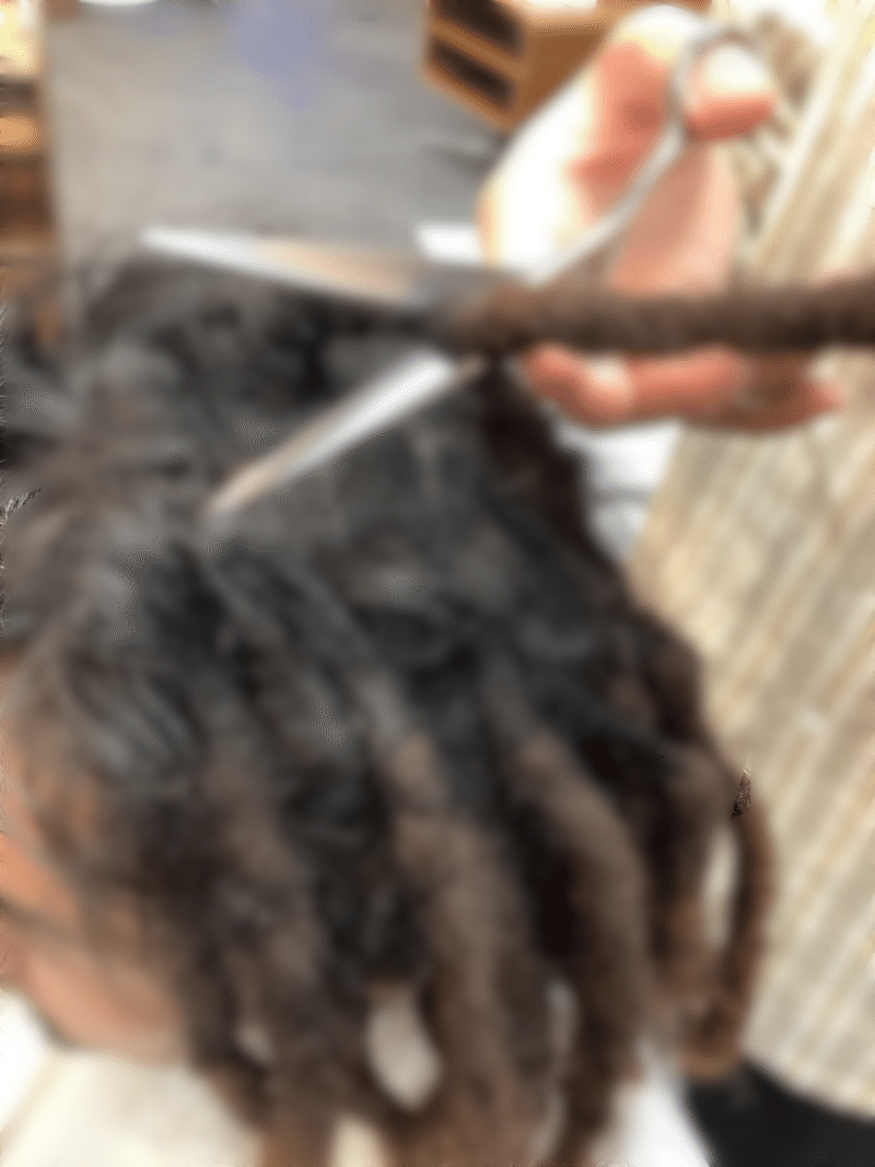 ドレッドヘアにするとこうなる アフロドレッド体験記 操作イトウ 30代二子玉川美容師 Note