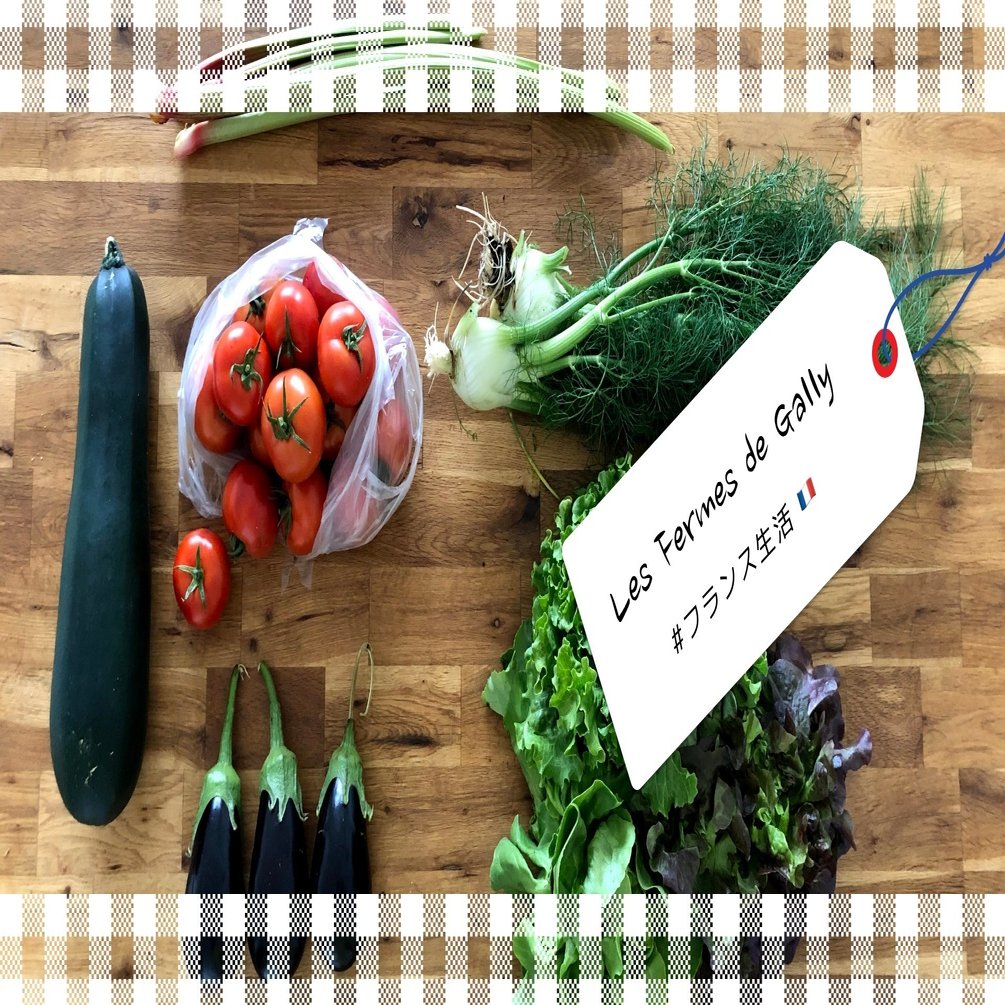 ルイ14世の歴史的な畑で夏野菜収穫 ウエマツチヱ フランス生活研究中 Note