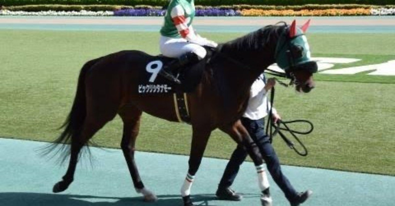 ビックリシタナモー ヤマンザ子 Note ビックリシタナモー ヤマンザ子 Note