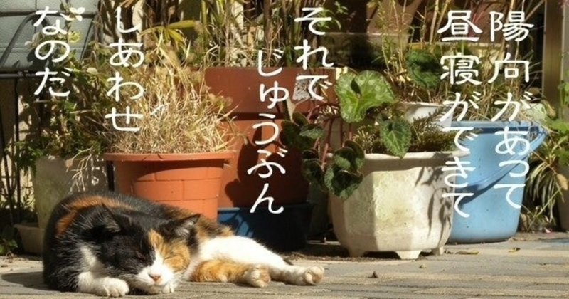 奇跡の確率 の新着タグ記事一覧 Note つくる つながる とどける 奇跡の確率 の新着タグ記事一覧 Note つくる つながる とどける