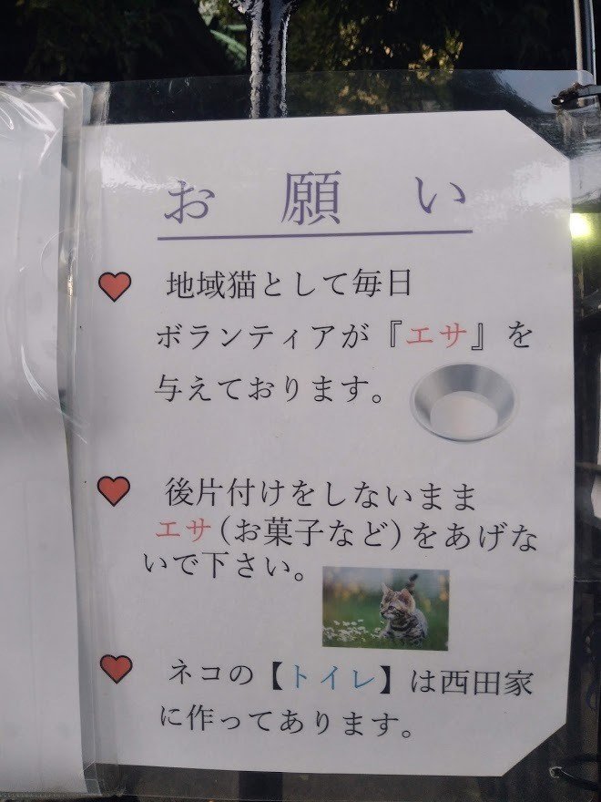 諏訪神社の猫ポスター