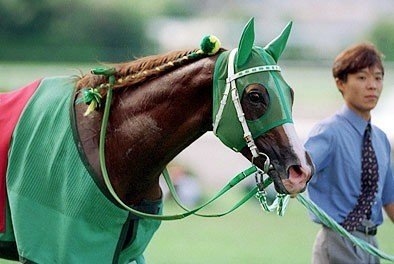 ウマ娘で学ぶ日本競馬史 第2回 サイレンススズカ 座高 Note