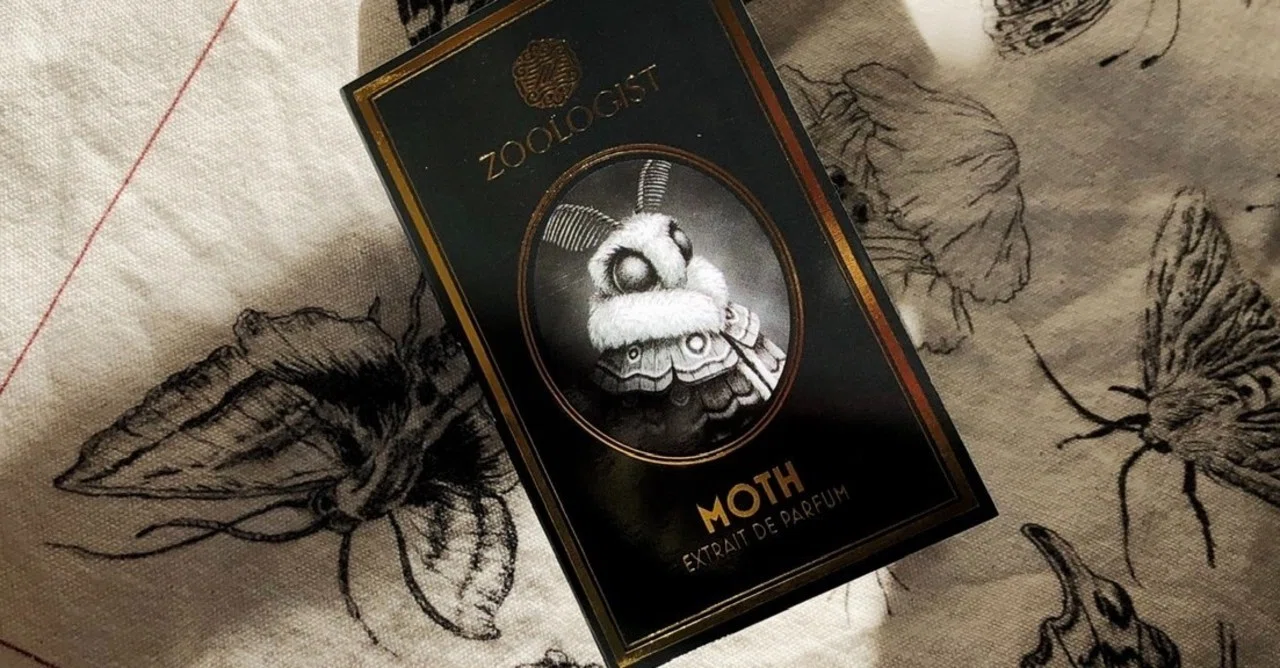 MOTH by Zoogosit》火いる蛾｜𝚝𝚊𝚌𝚒𝚝 𖦸𖦸