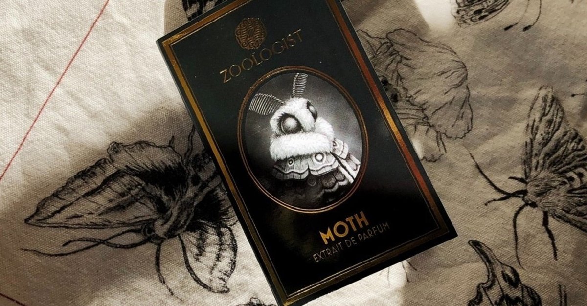 激安価格の MOTH by Zoogosit》火いる蛾｜𝚝𝚊𝚌𝚒𝚝 𖦸𖦸 香水(ユニセックス)