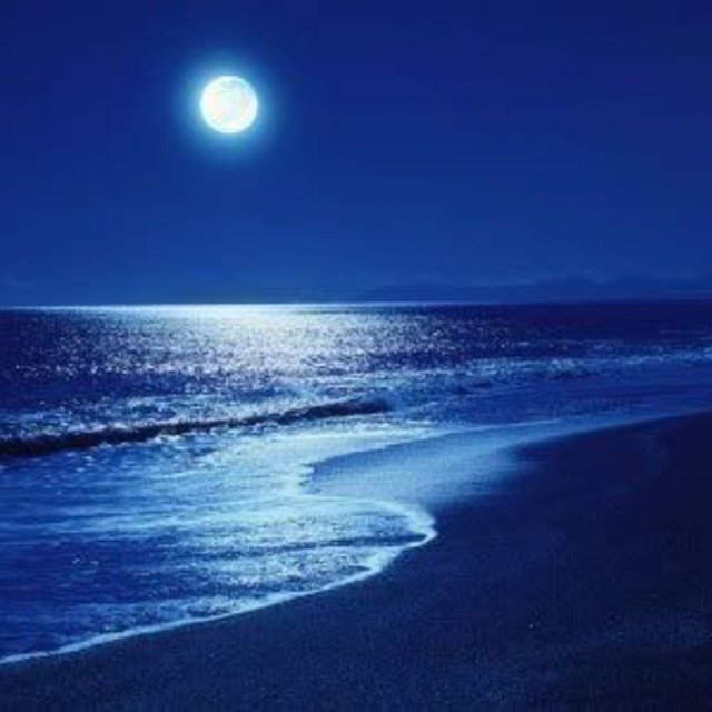 夜の海岸