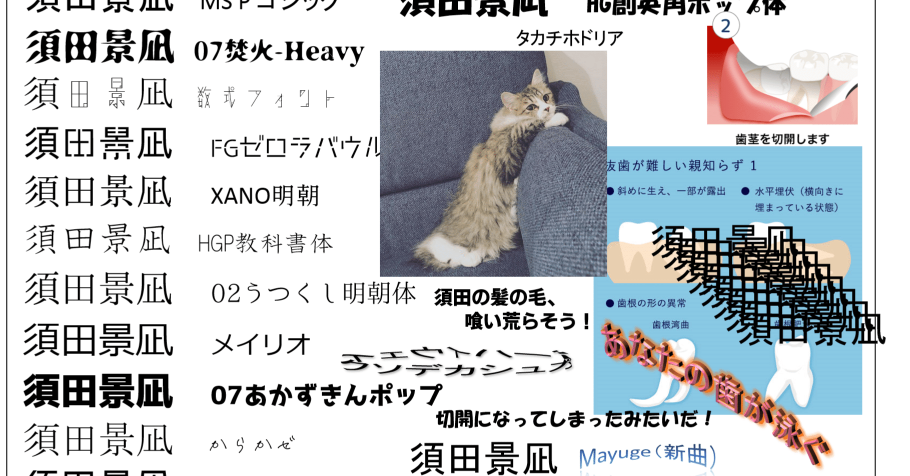 催花 補足と須田景凪に関するメモ 余白 Note