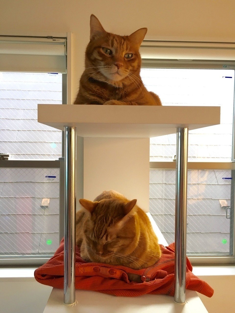 いい子にしてて！」ママに言われたぼくちび。｜mizunote｜note