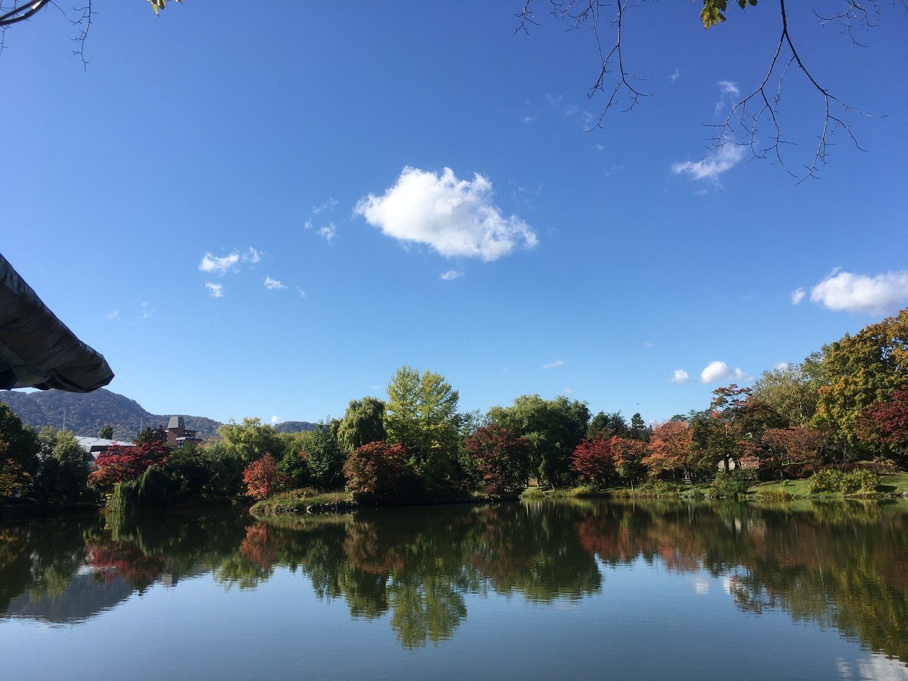 画像9