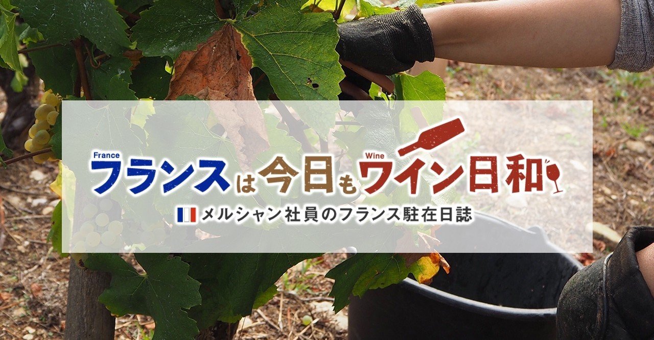 ブルゴーニュのブドウ収穫の一日を追いかけました フランスは今日もワイン日和 Kirin