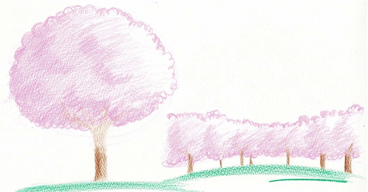 色鉛筆 シンプルな1本桜と桜並木を描く 木も可 つくえゆき らくがき講師 Note 色鉛筆 シンプルな1本桜と桜並木を描く 木も可 つくえゆき らくがき講師 Note