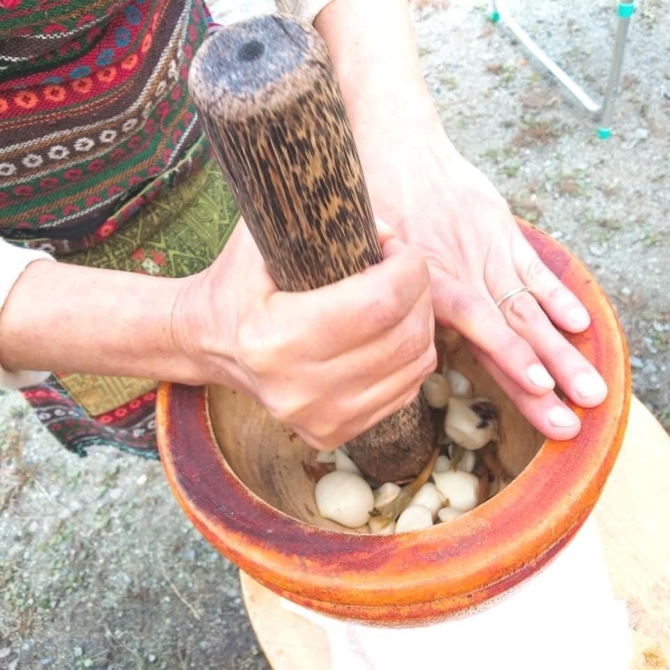 星降る山のカフェで 新鮮無農薬野菜いっぱいの 野外 ベジタリアン タイ料理教室しました おぐしみき サワディシンチャオ Note